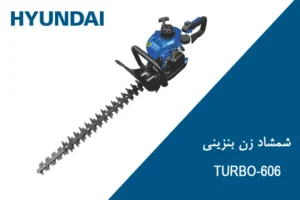 شمشادزن هیوندای